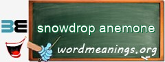 WordMeaning blackboard for snowdrop anemone